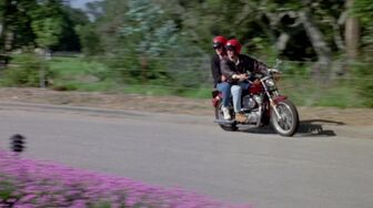 The Brotherhood Of Justice 1986 1080p WEBRip x264-YTS