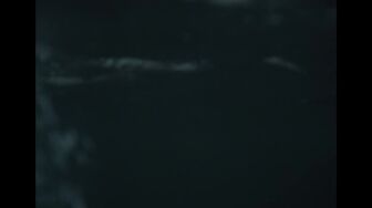 Widows Bay S01E09 WEB H264-RBB